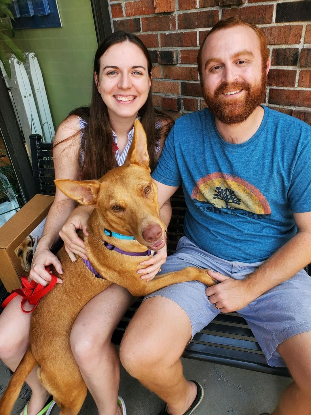 Photo courtesy of Stray Rescue of St. Louis